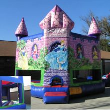 Our Princess Club Bounce House is perfect for your daughter's birthday party. Reserve it today. We provide our bounce houses to Clay County FL and St. Johns County FL.